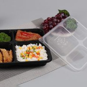 Plastic Tray made of PP