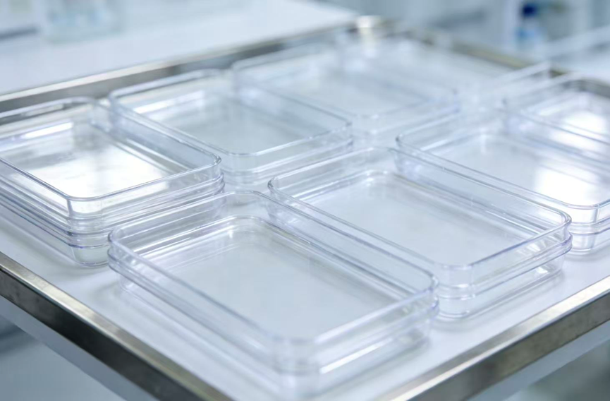  thermoforming equipment